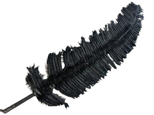 Schwarze Riesenfeder