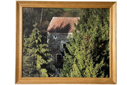 Foto Turm hinter Fichten, 56 x 46 cm