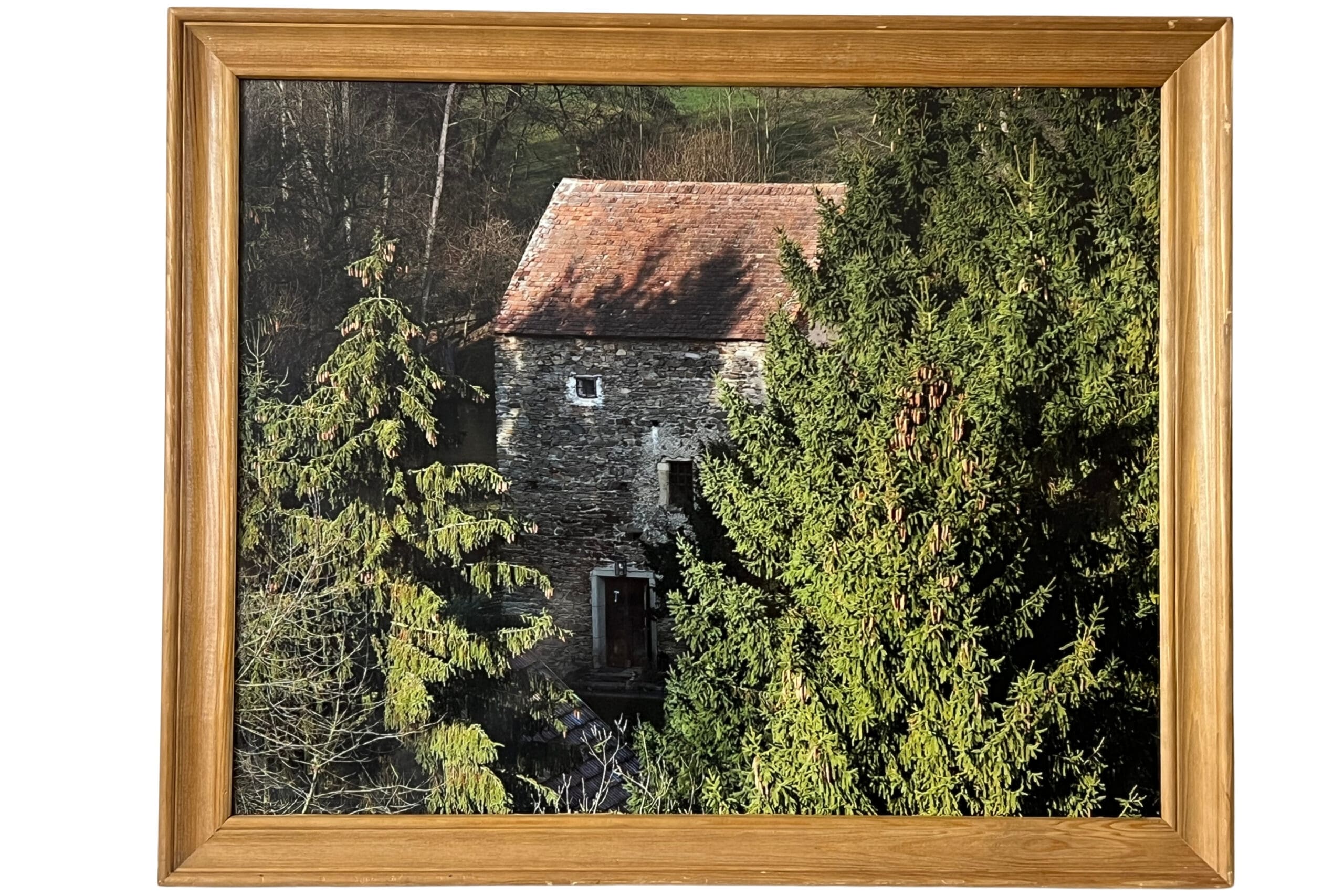Foto Turm hinter Fichten, 56 x 46 cm