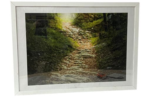 Foto Waldweg, 74 x 54 cm