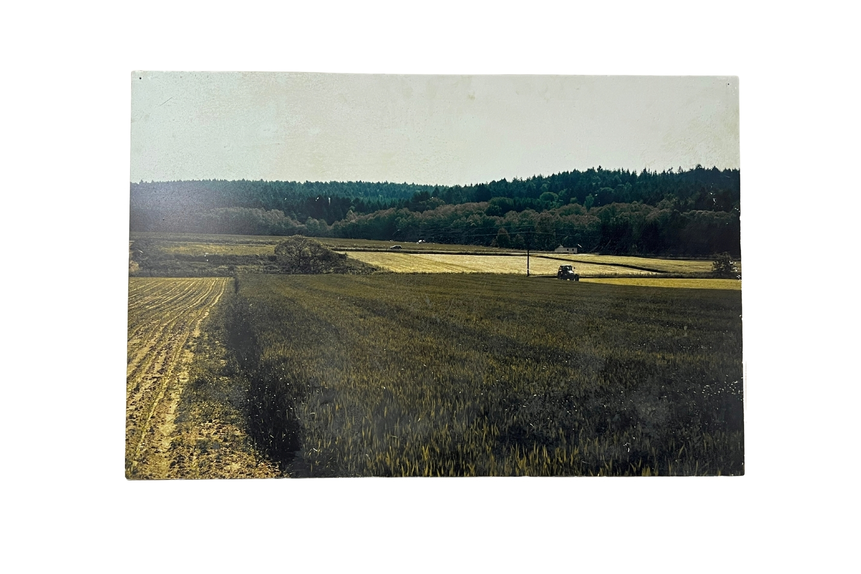 Fotografie Felder Druck auf PVC, 100 x 66 cm