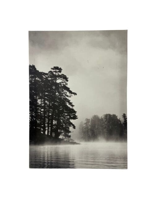 Fotografie See mit Waldrand, 5 x 70 cm