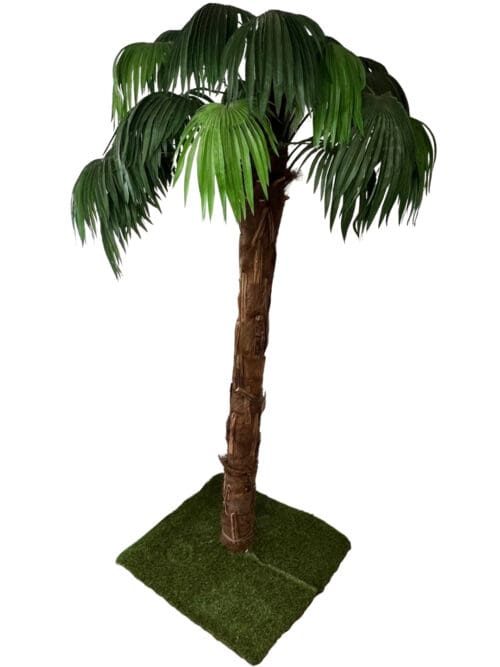 Große Palme